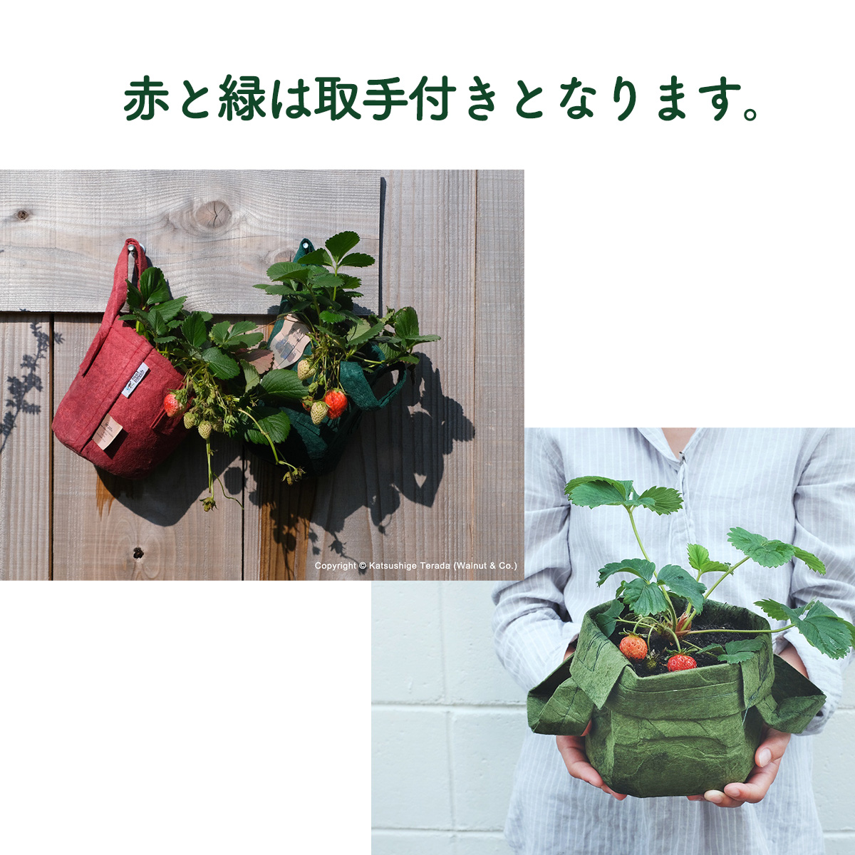 プランター ルーツポーチ 幅21cm 苗2-3個用（苗 フェルトプランター