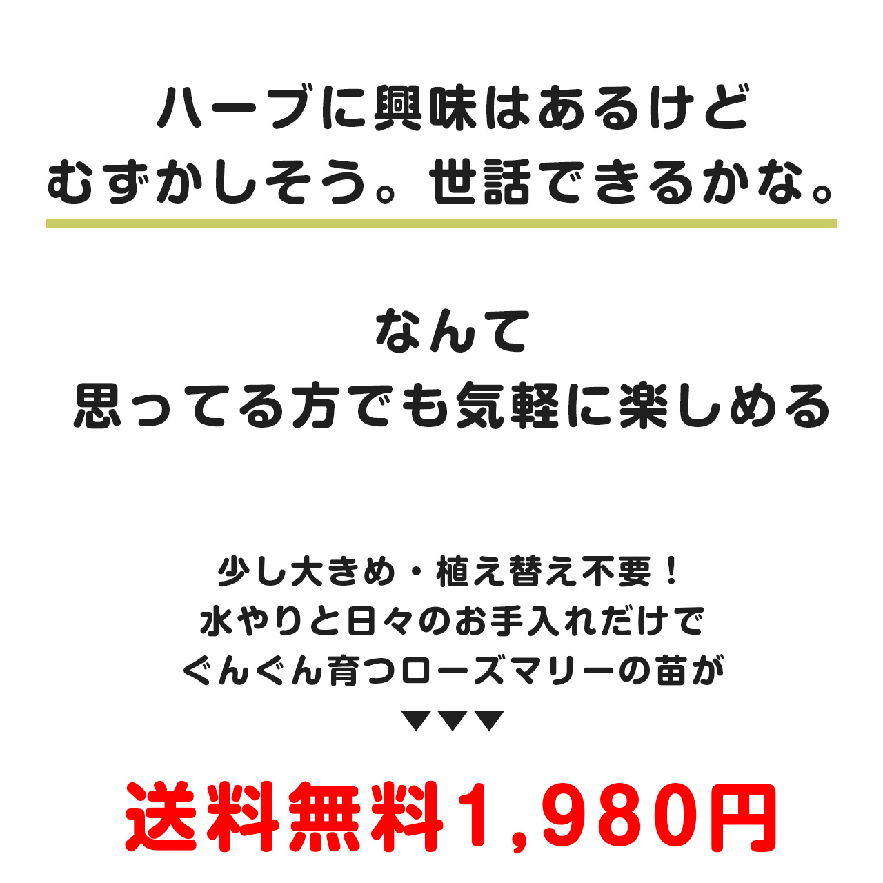 ハーブ 苗 ローズマリー 立性 這性 カラープランター入り 送料無料 寄せ植え 栽培キット かわいい ハーブティー ハーブガーデン ガーデニング 観葉植物 花苗 Rose Big1 ハーブ苗のポタジェガーデン 通販 Yahoo ショッピング