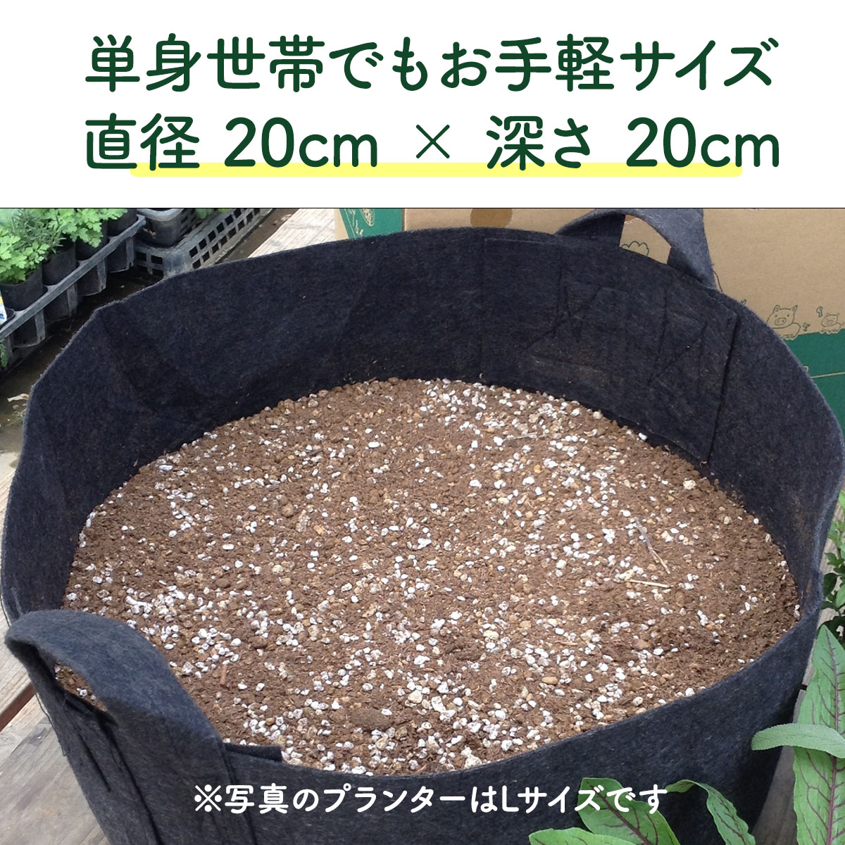 ハーブ栽培キット