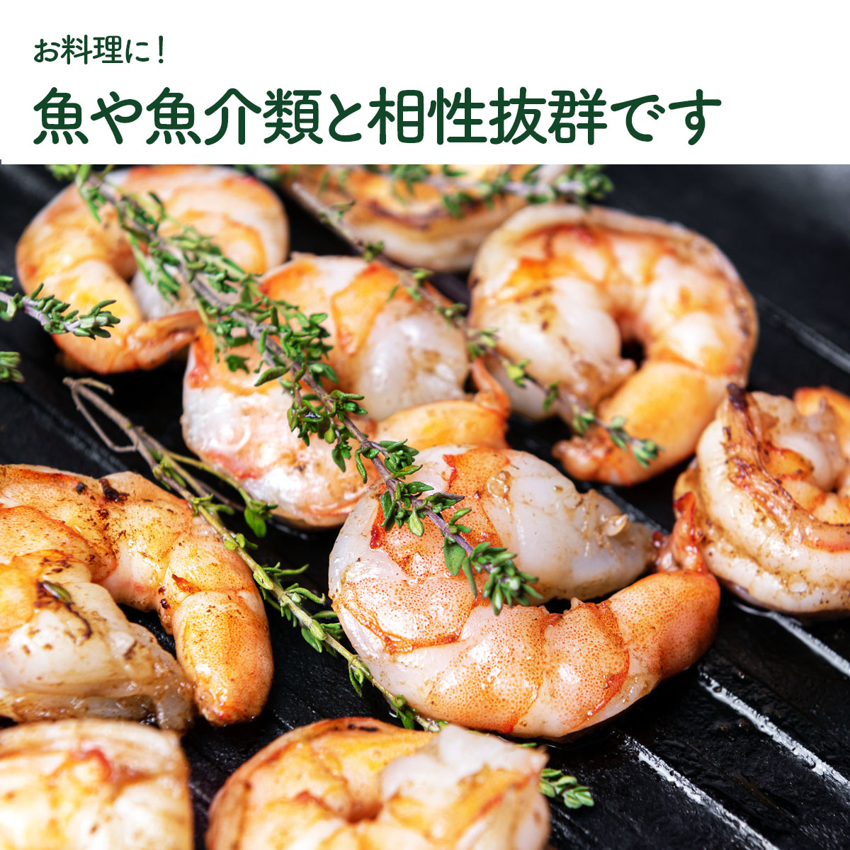 タイムの苗