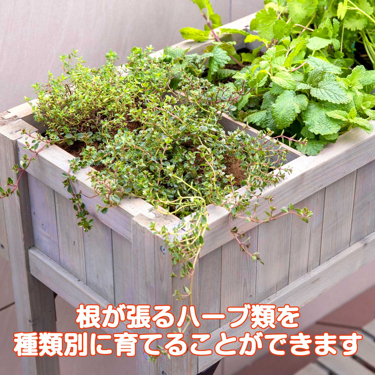 レイズドベッド ハーブプランター スリム（タカショー 植木鉢 鉢