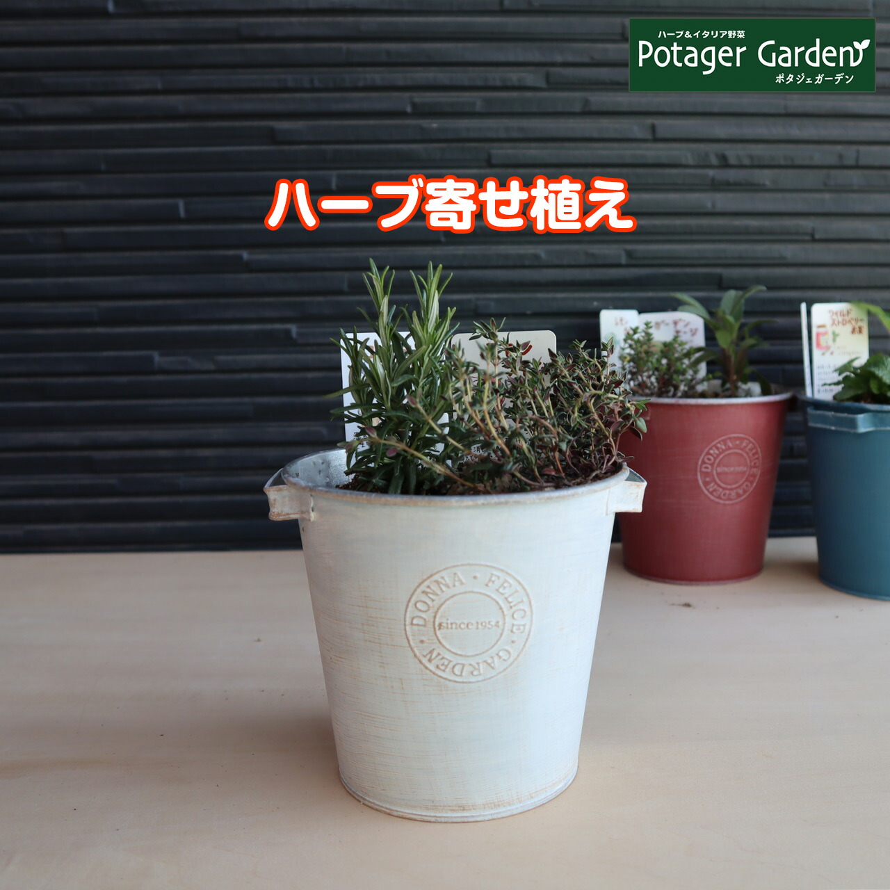 ハーブ栽培キット