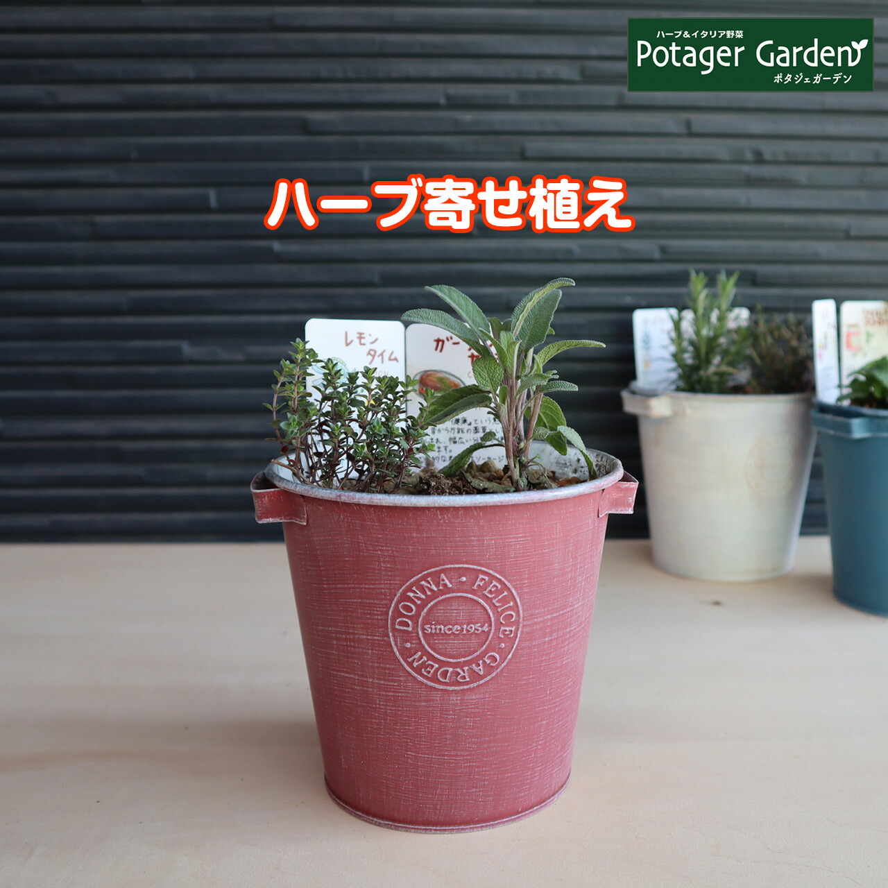 ハーブ栽培キット