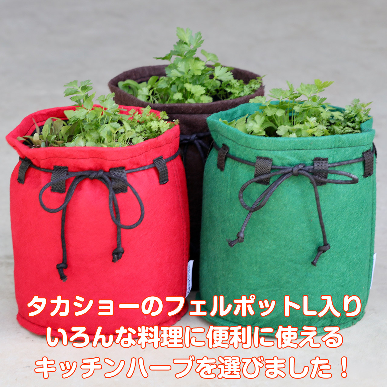 ハーブ栽培キット