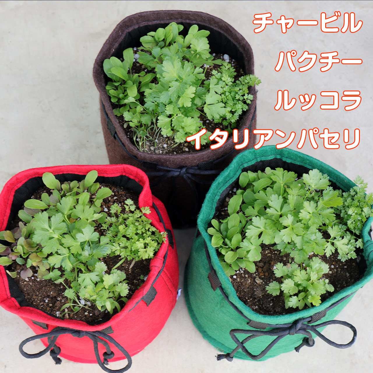 ハーブ栽培キット