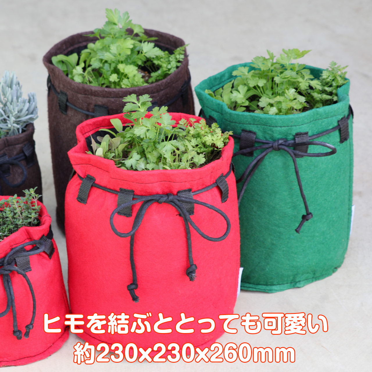 ハーブ栽培キット