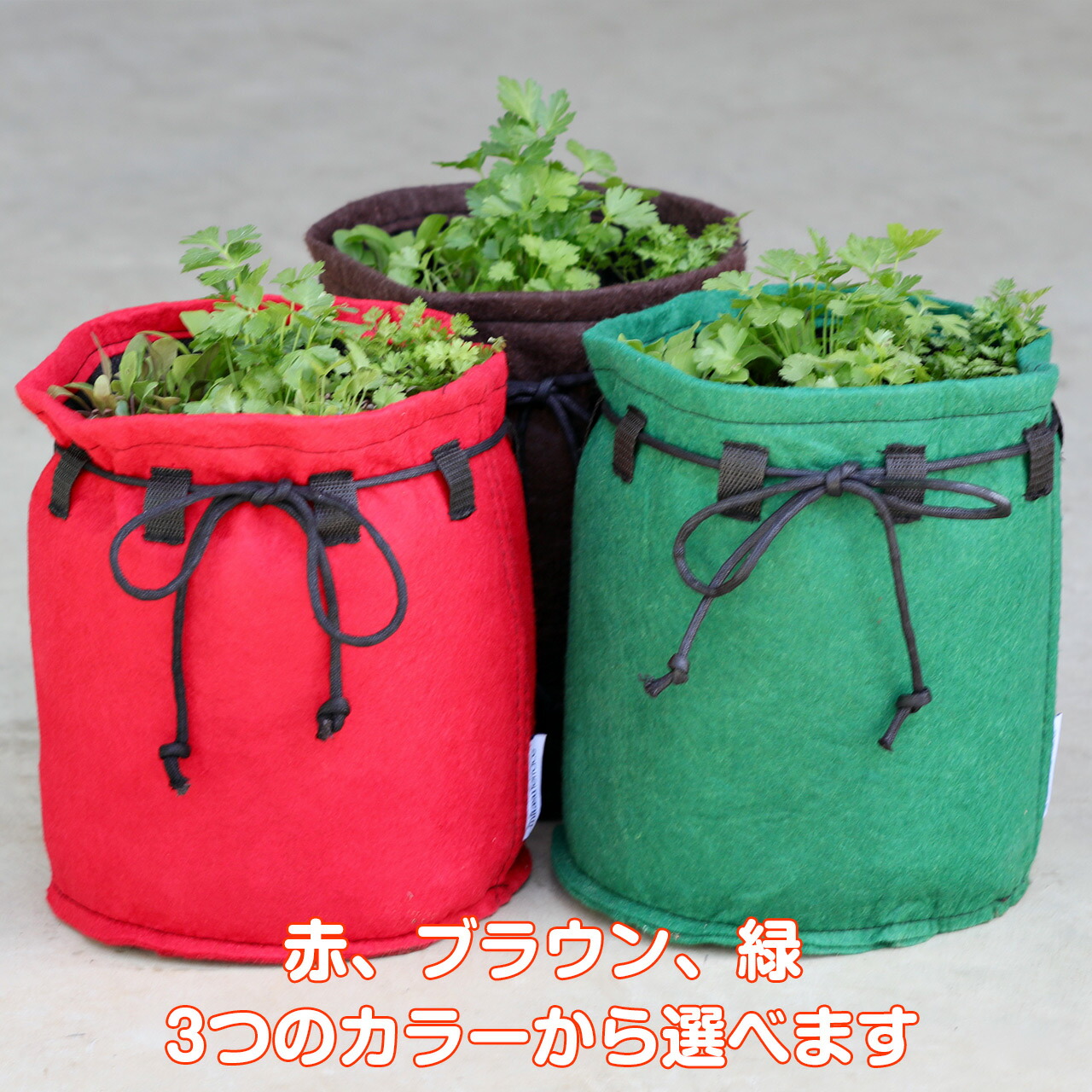 ハーブ栽培キット