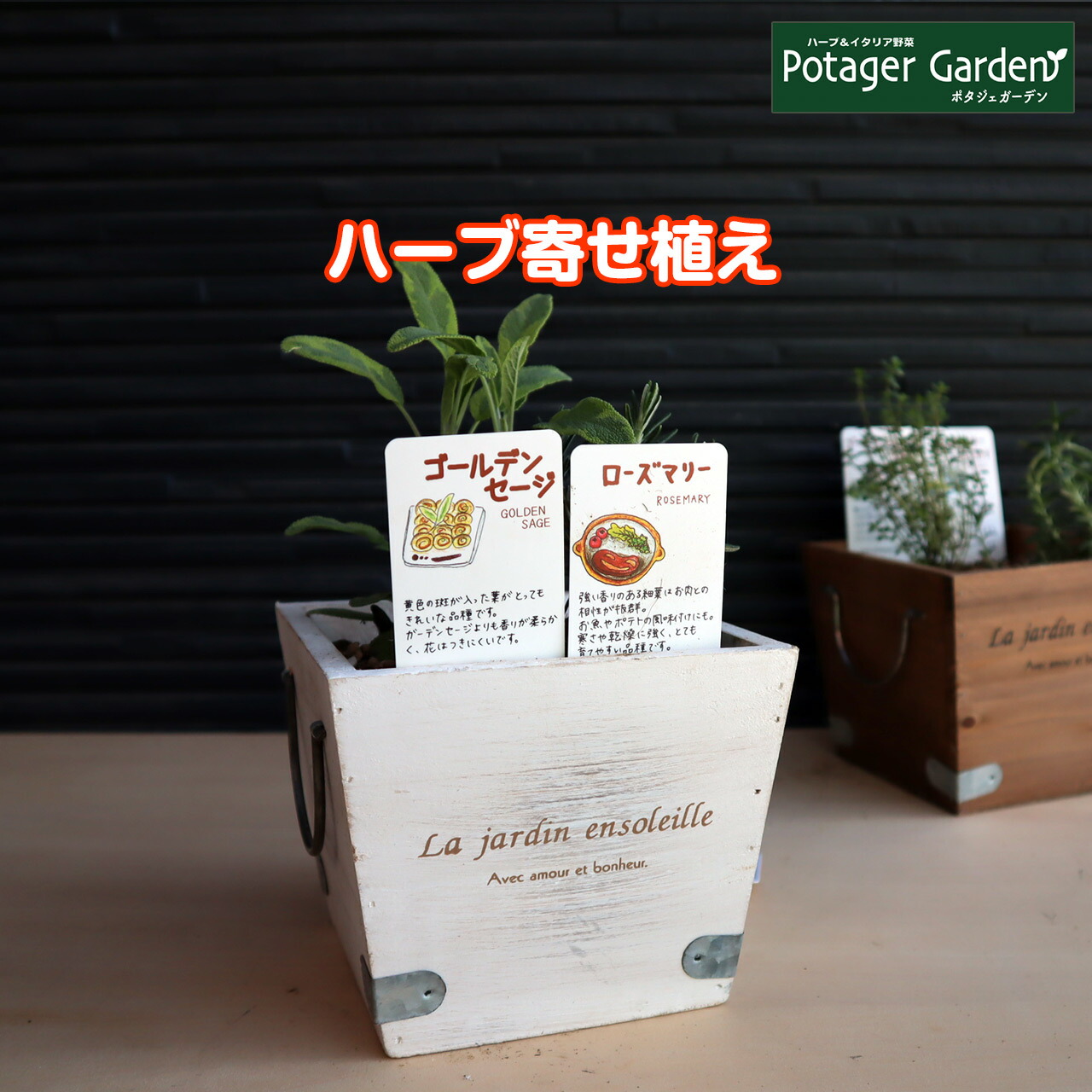 ハーブ栽培キット