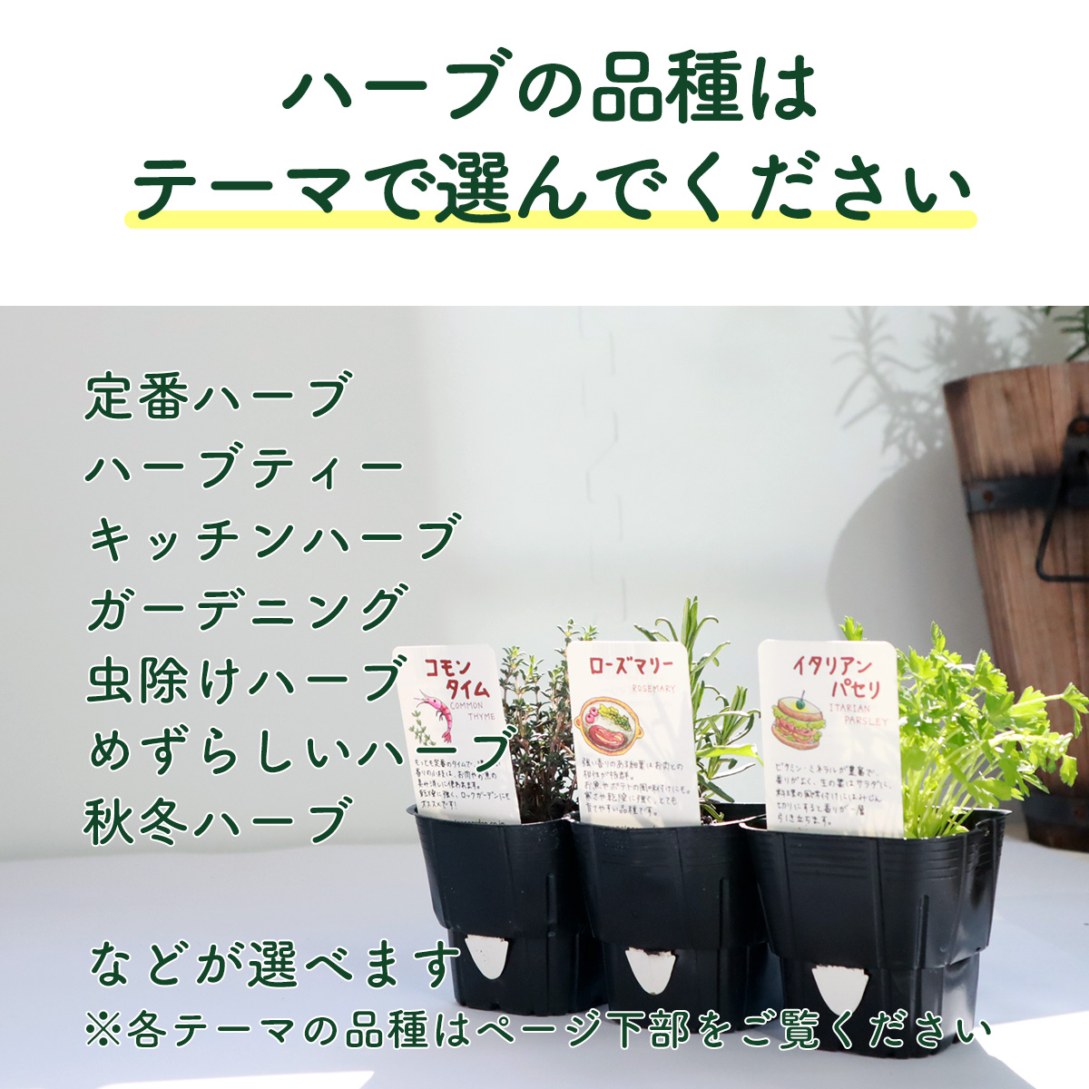 寄せ鉢