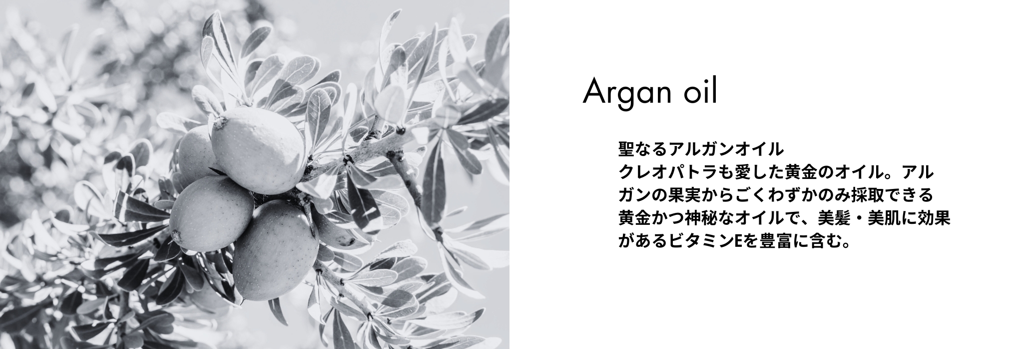 クラシエ ZIRA ジーラ ヒートコートヘアウォーター 1070ml 詰替え : 10000120 : potch7 - 通販 -  Yahoo!ショッピング