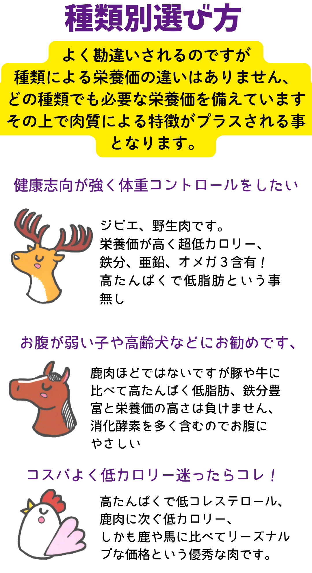 こんなわんちゃんへお勧め