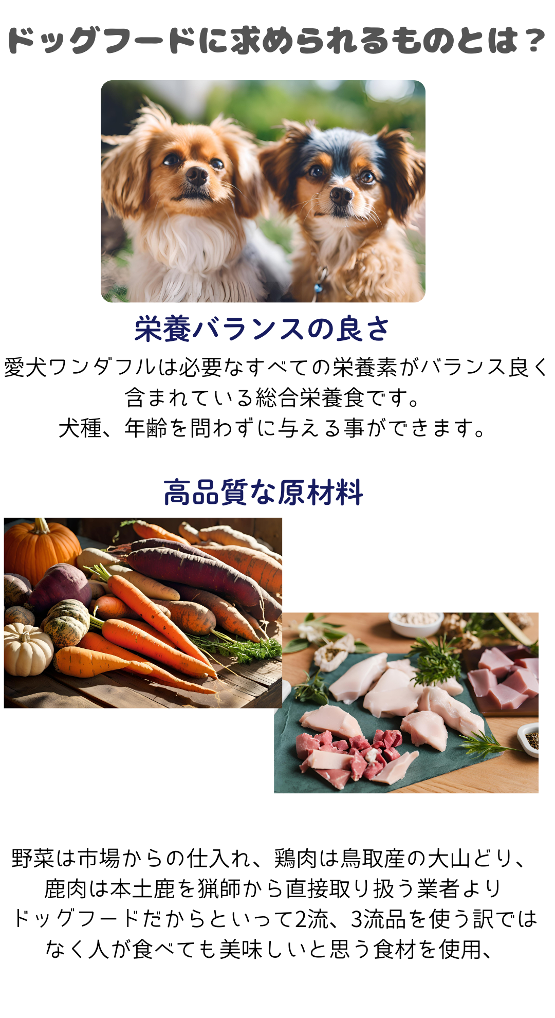 ドッグフードに求められるものとは