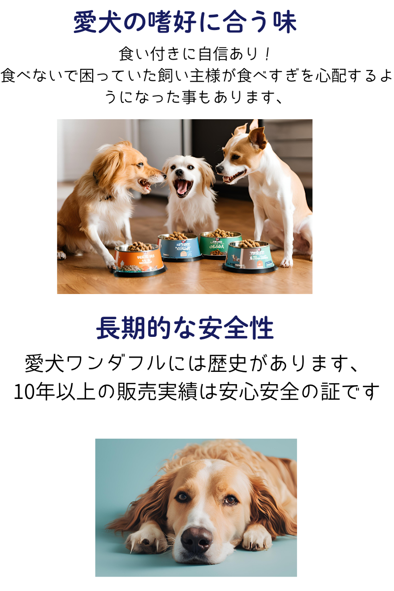 国産 無添加 自然食 健康 こだわり食材 お米の ドッグフード 馬肉タイプ 2kｇ ２個セット ドックフード 犬用 全年齢対応 完全栄養食 |  | 05