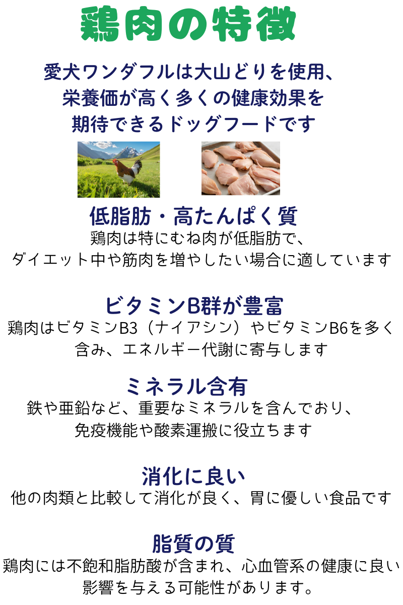 犬 ドッグフード 無添加国産 鶏肉 小型犬 シニア犬用ドライフード 愛犬ワンダフル 鶏肉タイプ 小粒 普通粒 750g 3個 全犬種対応の画像