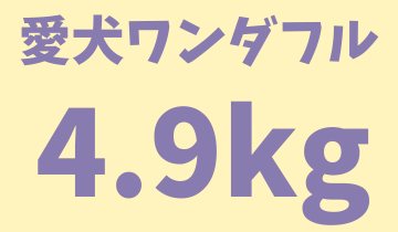 愛犬ワンダフル4.9ｋｇ