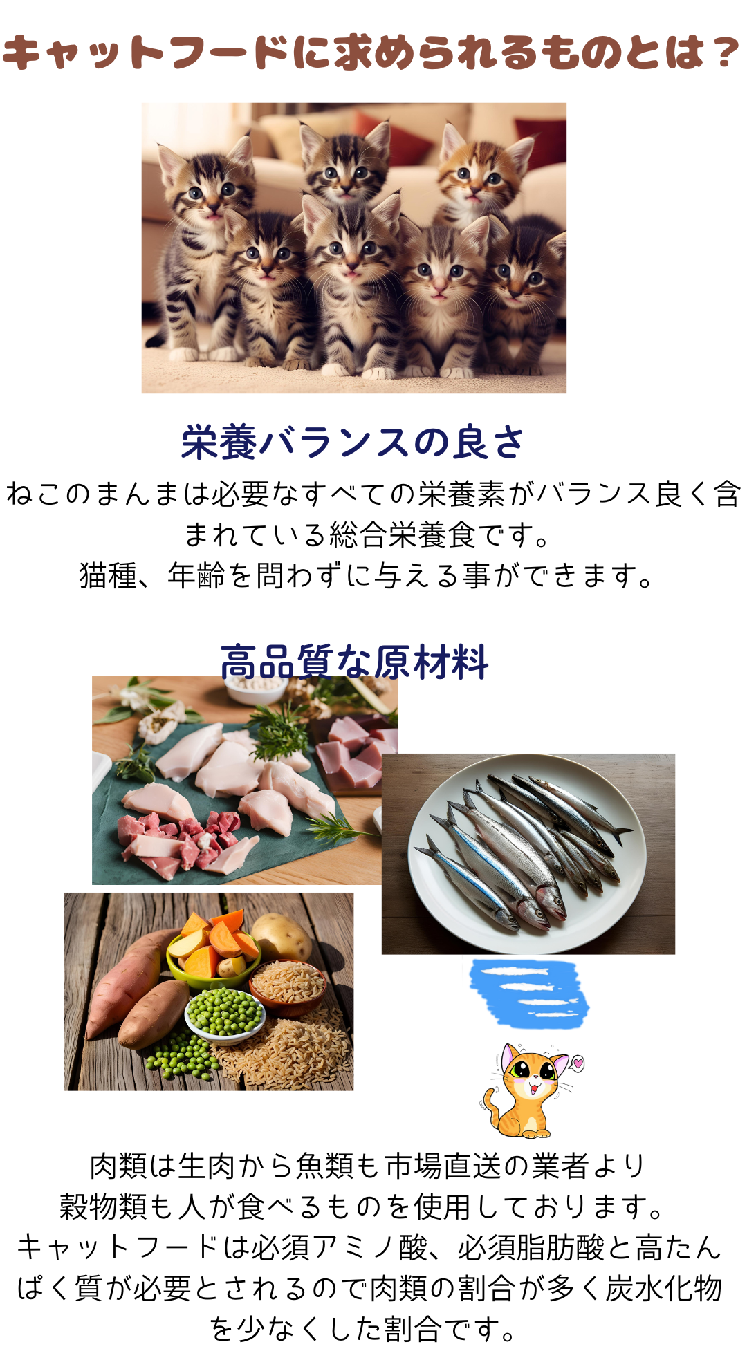 国産 無添加 健康 キャットフード ねこのまんま お試し セット