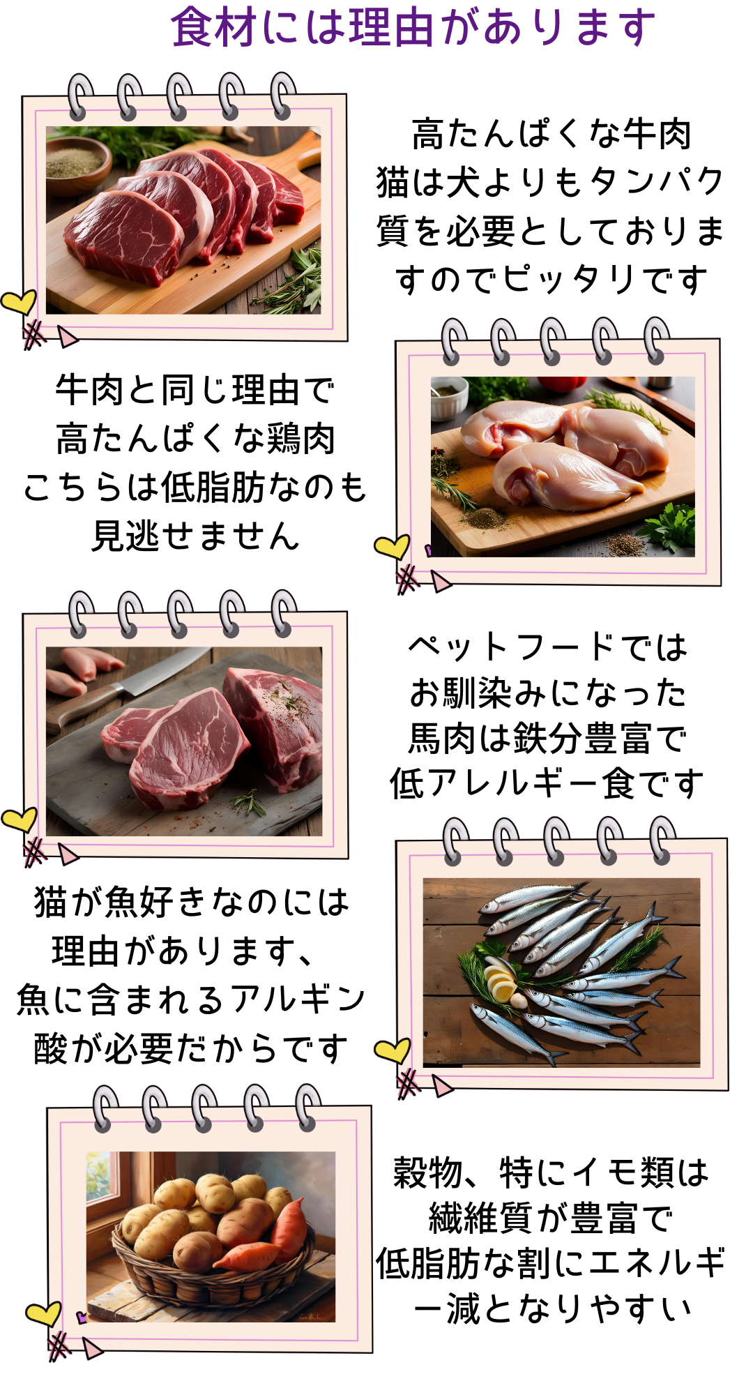 国産 無添加 健康 キャットフード ねこのまんま お試し セット 80g