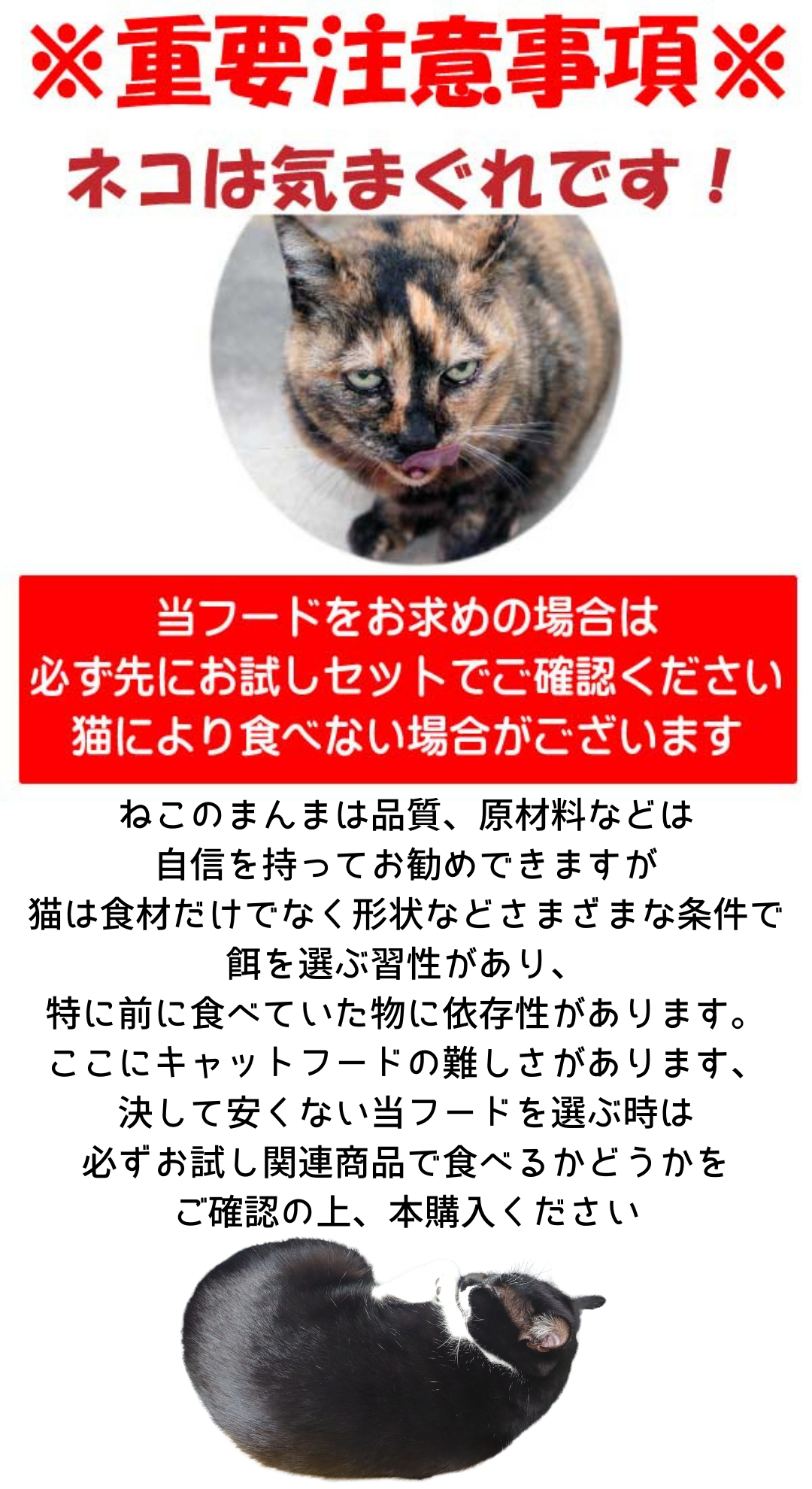 国産 無添加 健康 キャットフード ねこのまんま お試し セット