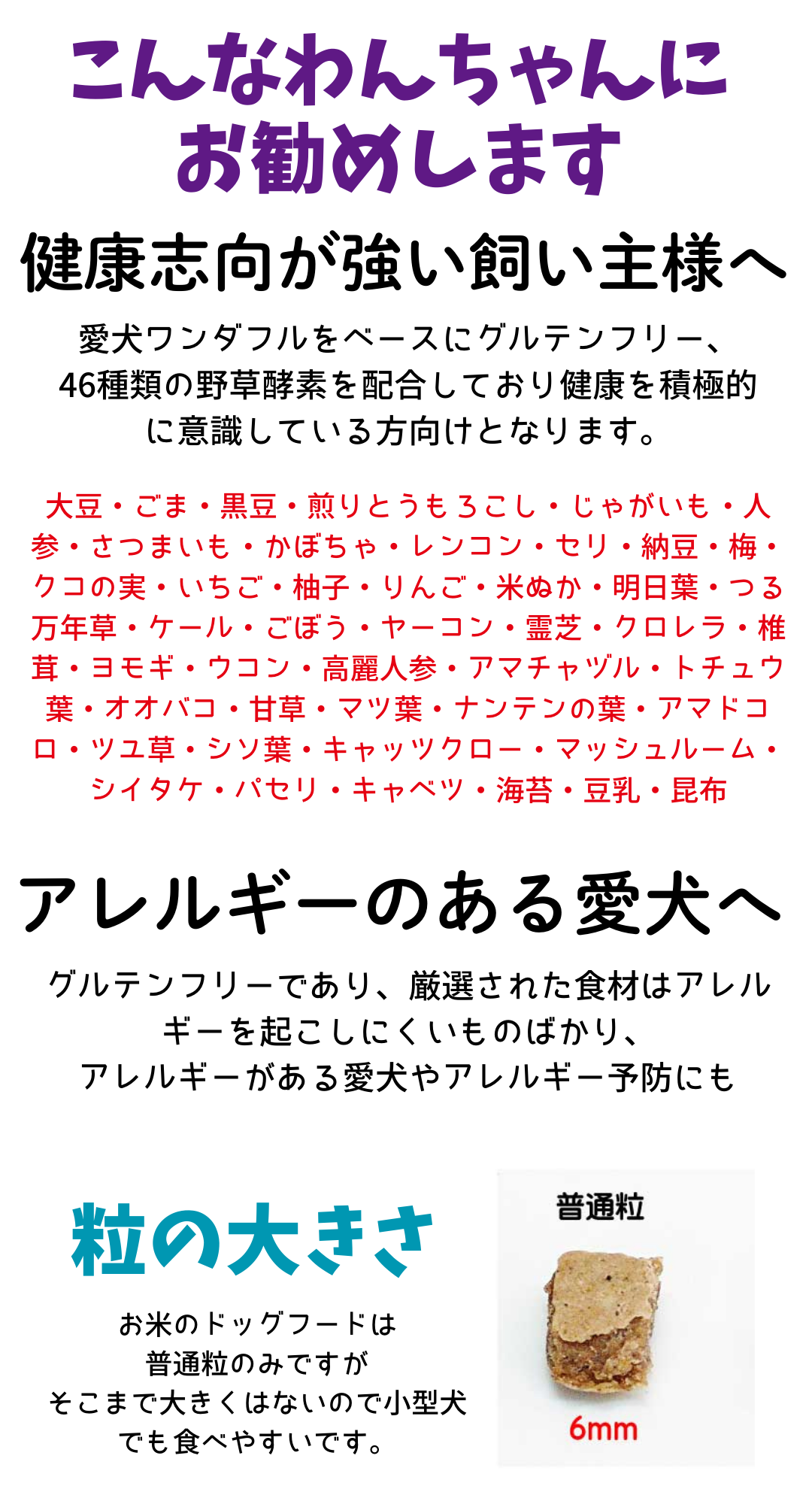 国産 無添加 自然食 健康 こだわり食材 お米の ドッグフード 馬肉タイプ 2kｇ ２個セット ドックフード 犬用 全年齢対応 完全栄養食 |  | 03