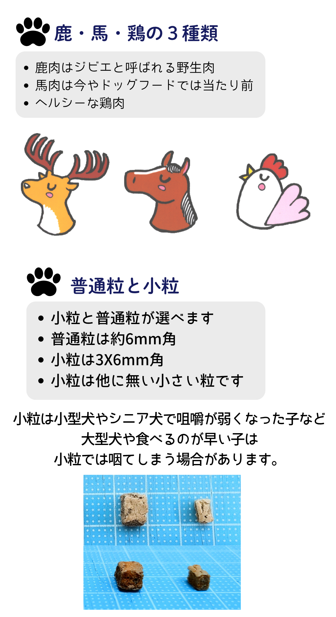 犬 ドッグフード 無添加国産 鹿肉 小型犬 シニア犬用ドライフード 愛犬ワンダフル 鹿肉タイプ 小粒 普通粒 750g 4個 全犬種対応