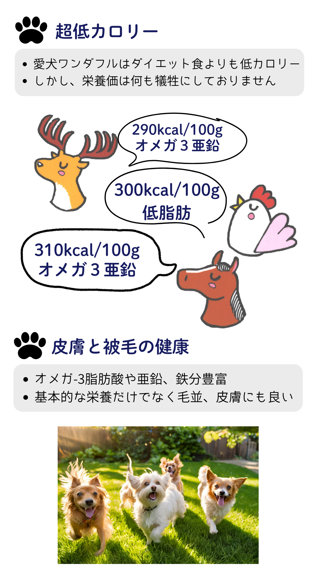 犬 ドッグフード 無添加国産 鹿肉 小型犬 シニア犬用ドライフード 愛犬ワンダフル 鹿肉タイプ 小粒 普通粒 750g 4個 全犬種対応