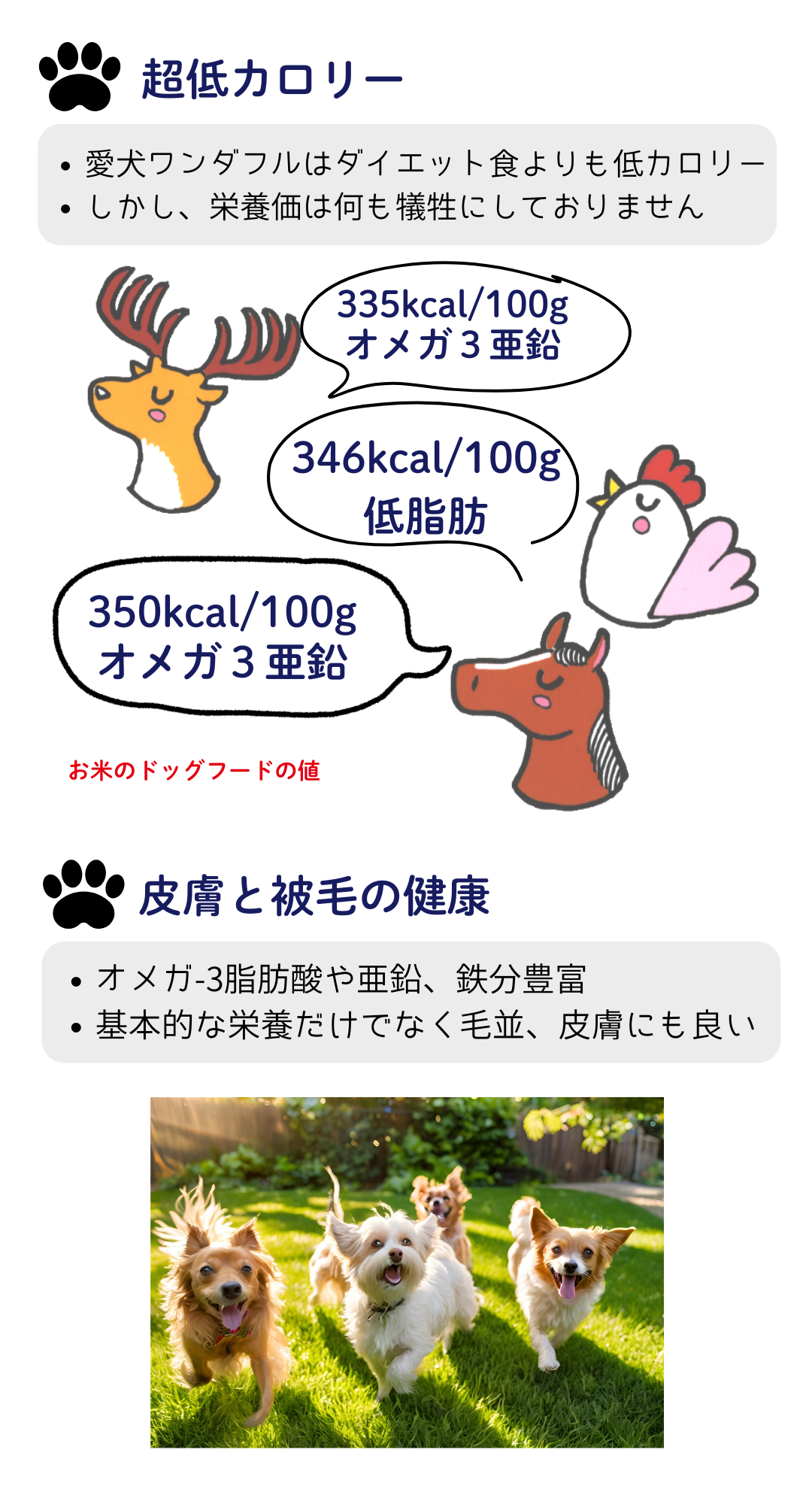 国産 無添加 自然食 健康 こだわり食材  【 お米のドッグフード 】 鶏肉・馬肉 800ｇ ２個セット (1.6kg) ドックフード （犬用全年齢対応） | 愛犬ワンダフル | 12