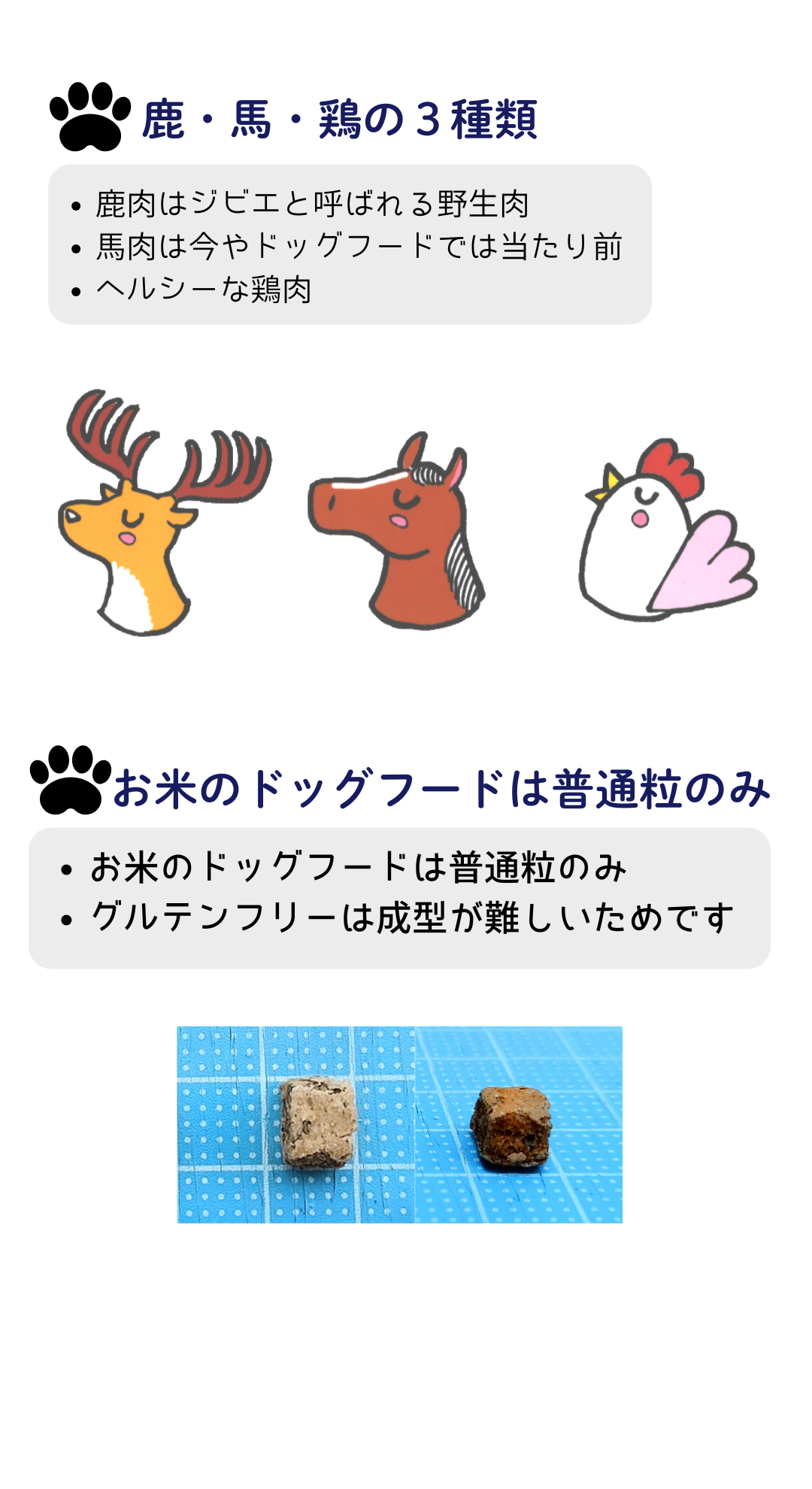 国産 無添加 自然食 健康 こだわり食材  【 お米のドッグフード 】 鶏肉・馬肉 800ｇ ２個セット (1.6kg) ドックフード （犬用全年齢対応） | 愛犬ワンダフル | 11