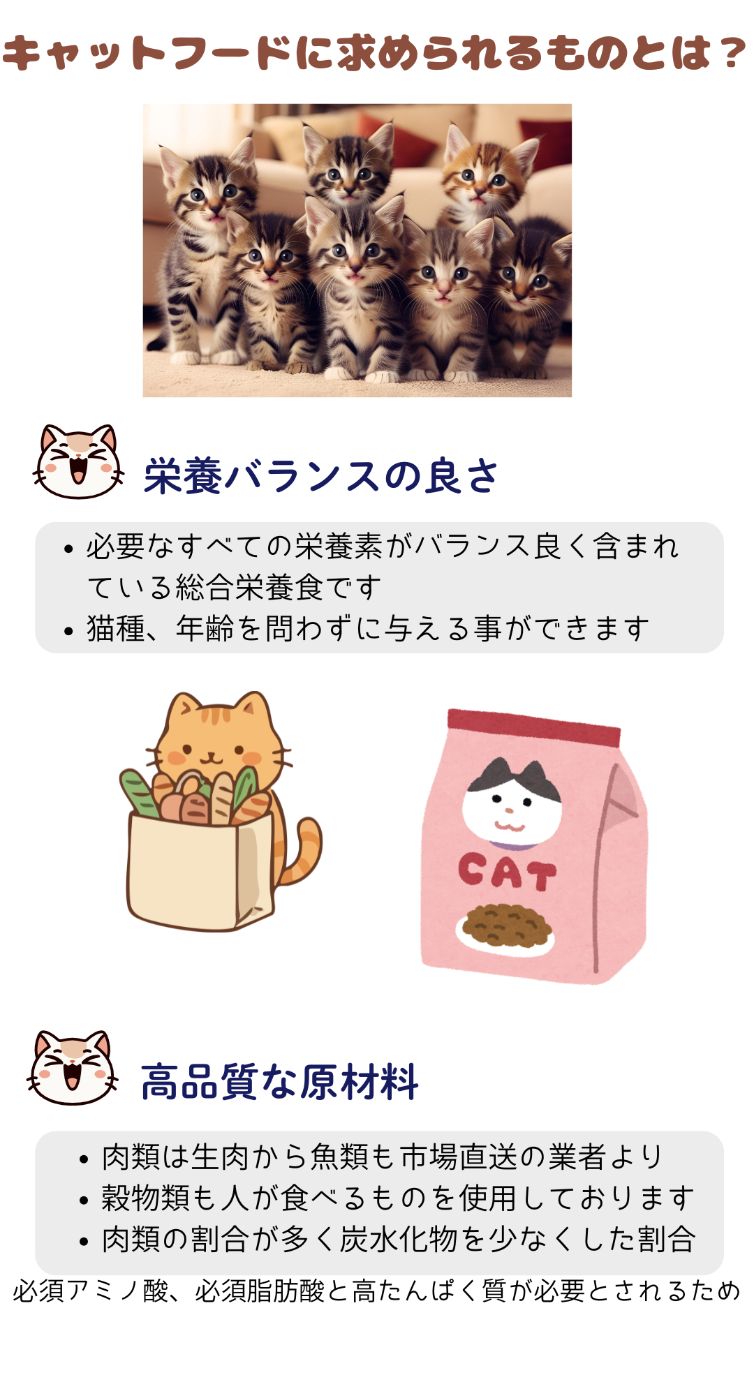 猫 キャットフード 無添加国産 グルテンフリー ドライフード カリカリ