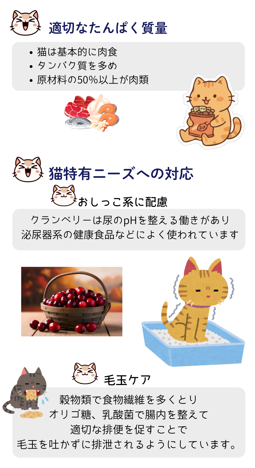 猫 キャットフード 無添加国産 グルテンフリー ドライフード カリカリ