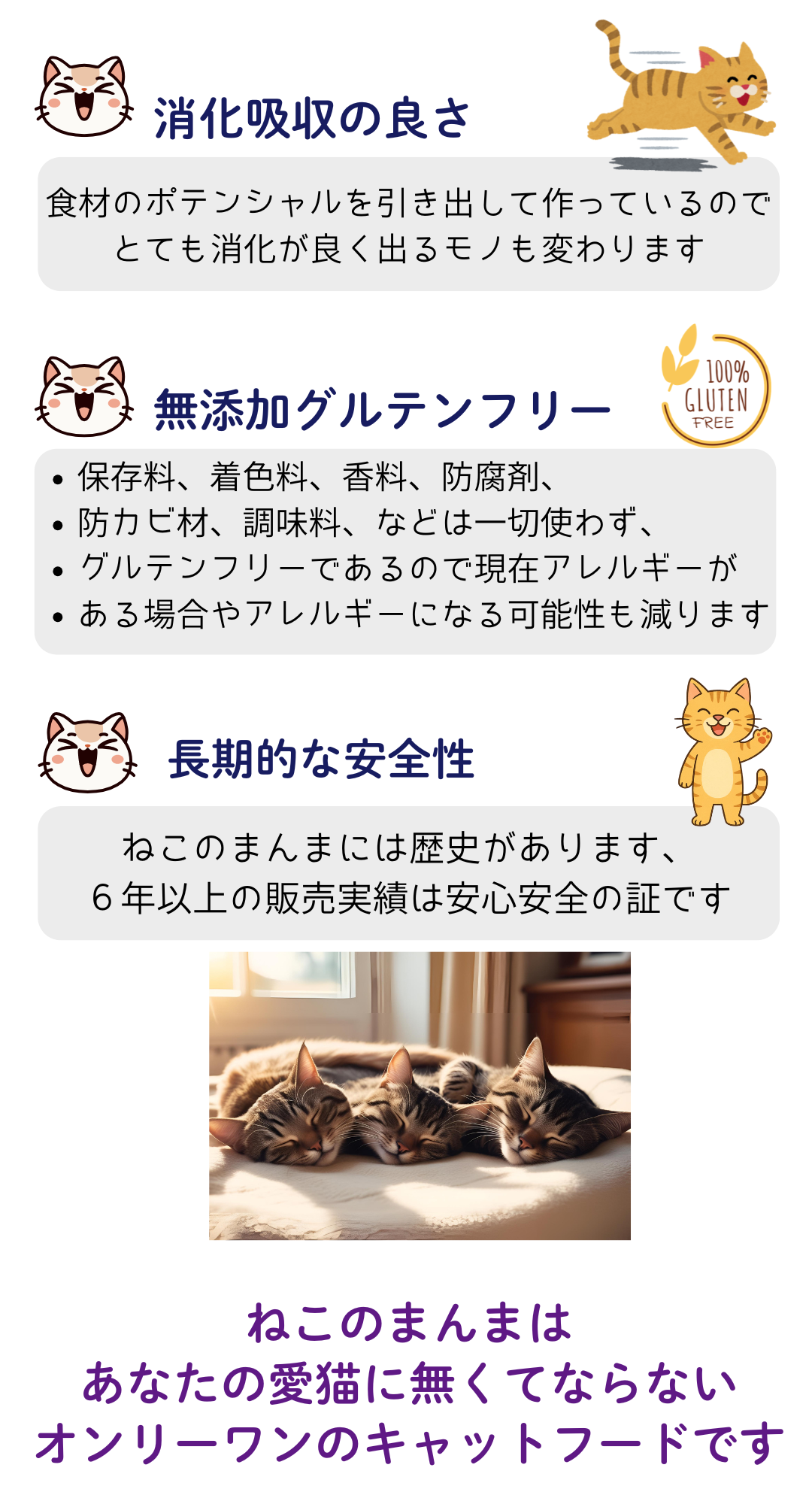 猫 キャットフード 無添加国産 グルテンフリー ドライフード カリカリ