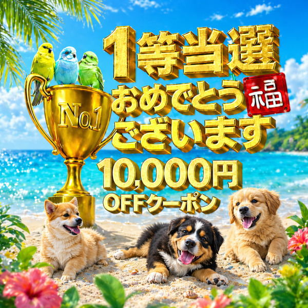 パワーハウス夢工房 - 1等10,000円OFFクーポン｜Yahoo!ショッピング