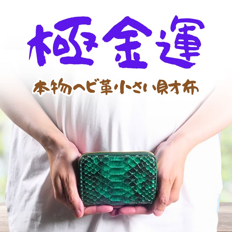 本物 へび革 小さい財布 ＼12万円が83%OFF／ ダイヤモンドパイソン×栃木レザー 超金運 金色のファスナー財布 キャッシュレス時代のおとなの非常用小さい財布 | 芦屋ダイヤモンド | 01