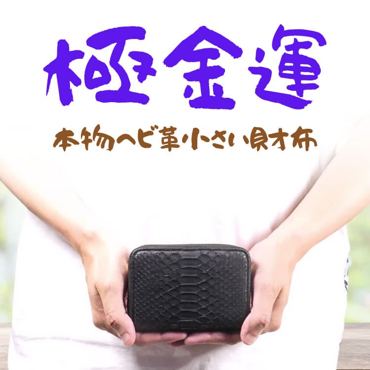 本物 へび革 小さい財布 ＼12万円が83%OFF／ ダイヤモンドパイソン×栃木レザー 超金運 金色のファスナー財布 キャッシュレス時代のおとなの非常用小さい財布 | 芦屋ダイヤモンド | 02