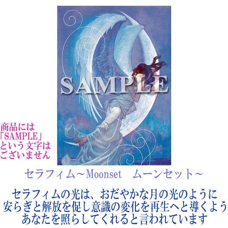 長野剛の商品一覧 通販 - Yahoo!ショッピング