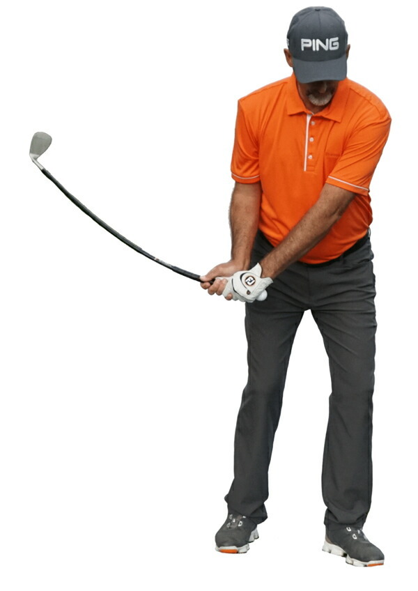 6puwedge-2.jpg