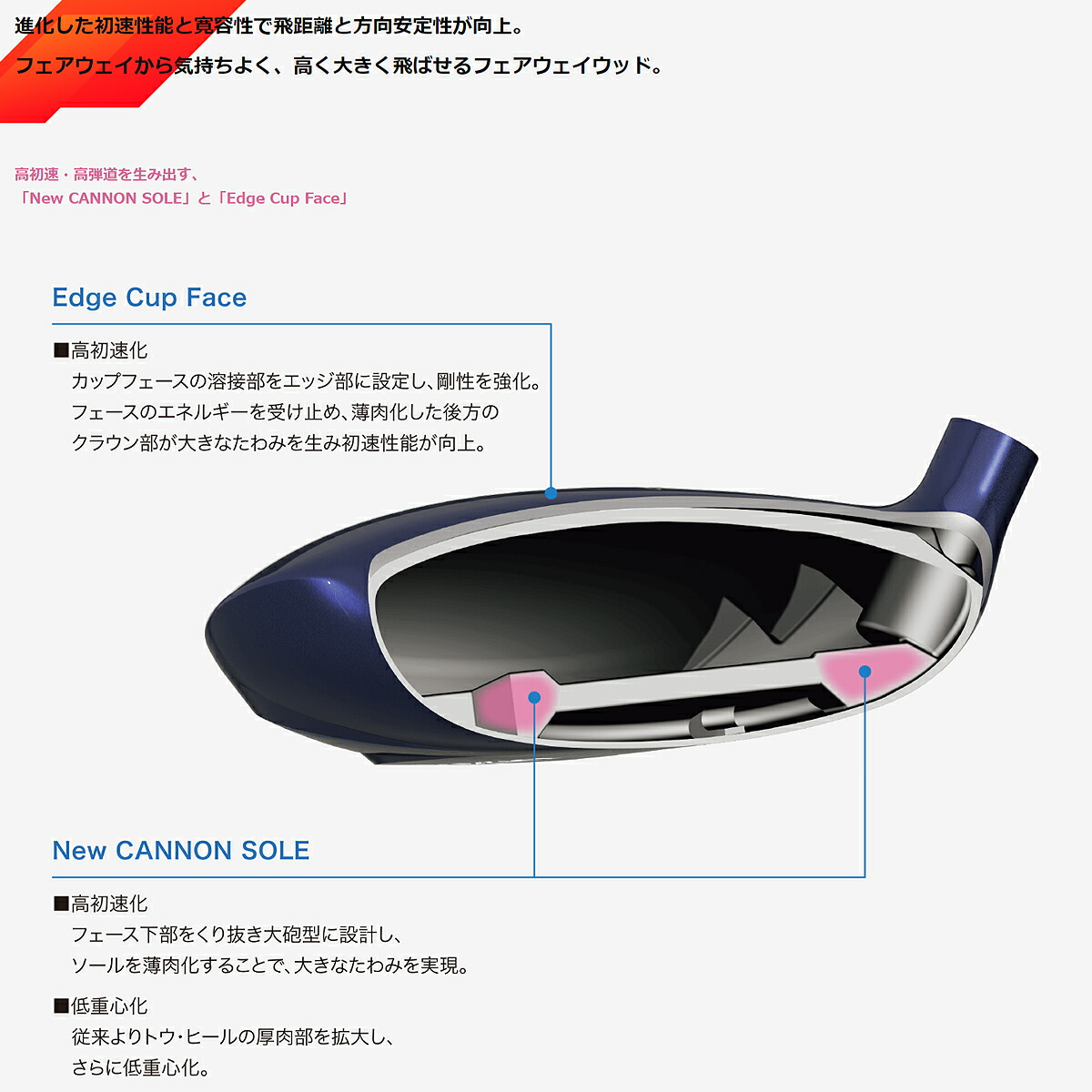 ダンロップ レディース XXIO14 ゼクシオ ゴルフクラブ 10本セット