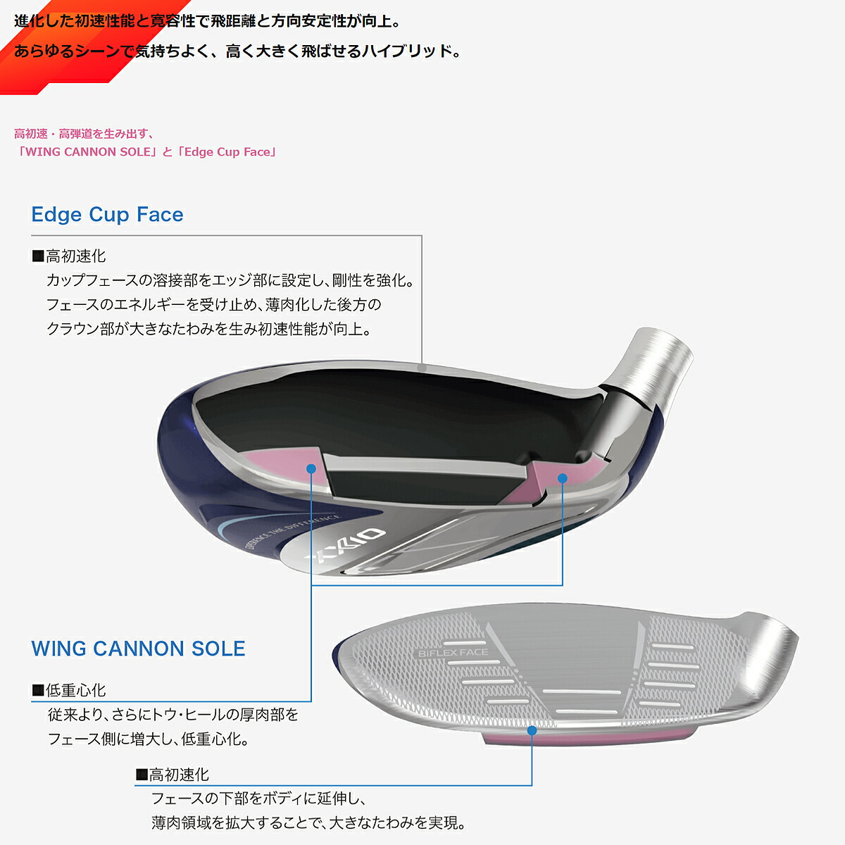 ダンロップ レディース XXIO14 ゼクシオ ゴルフクラブ 10本セット