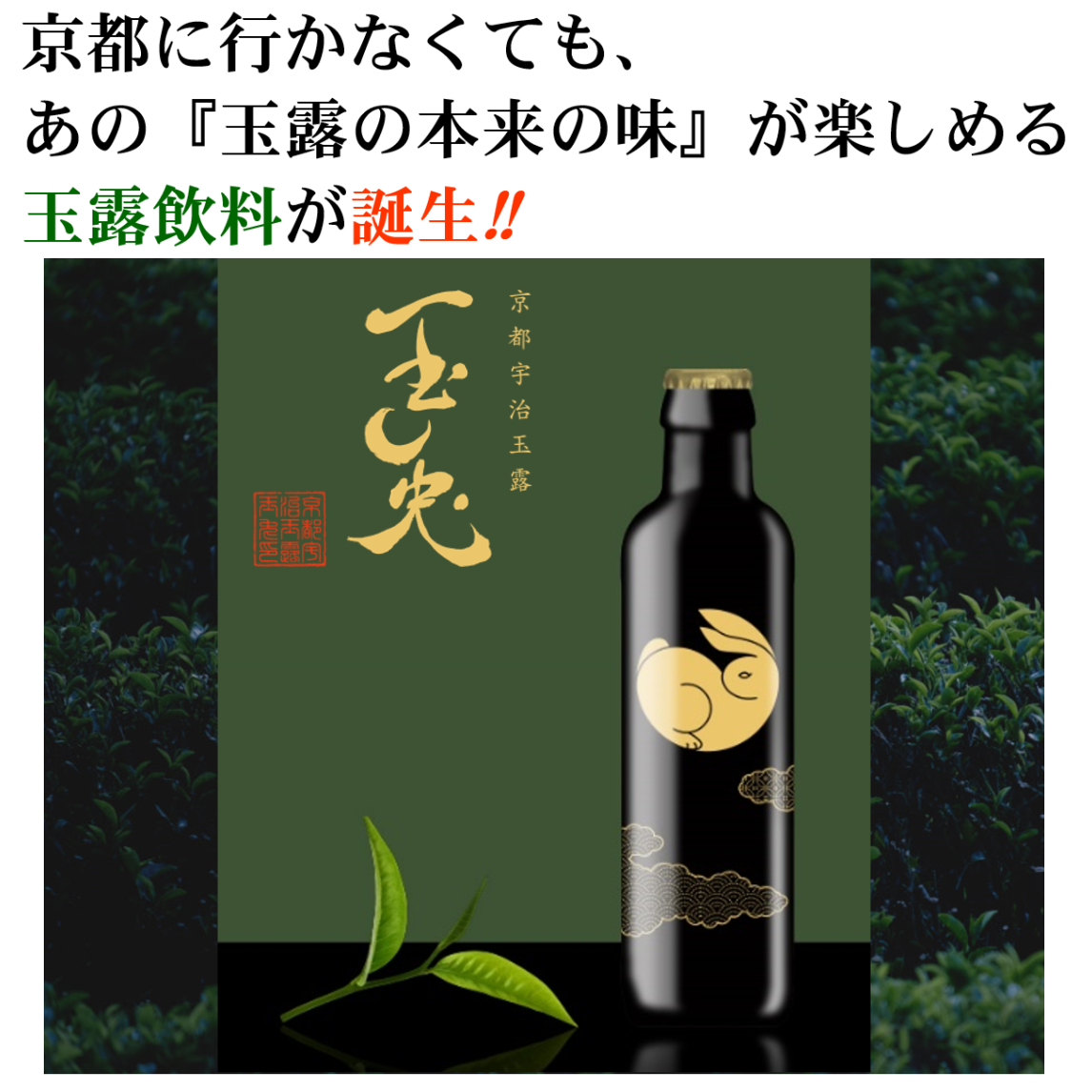 考案 飲料 玉兎柄栓抜き1個付 京都府茶協同組合 日本製 化粧箱×12 本格的 京都 『玉兎(たまうさぎ)』24本セット ギフト最適 玉露ドリンク  ドリンク 玉露 - blog.homolog.montcapital.com.br