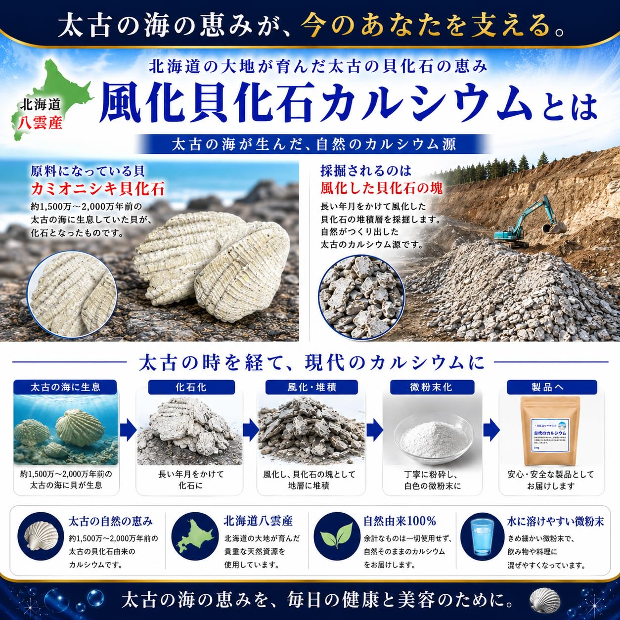 最新 北海道八雲 風化貝ソマチッド粉末 古代のカルシウム (240g×2