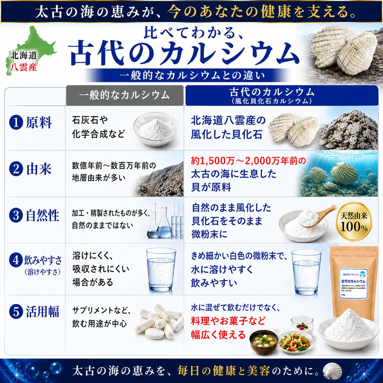 最新 北海道八雲 風化貝ソマチッド粉末 古代のカルシウム (240g×2