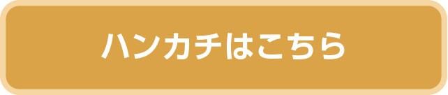 ハンカチへ