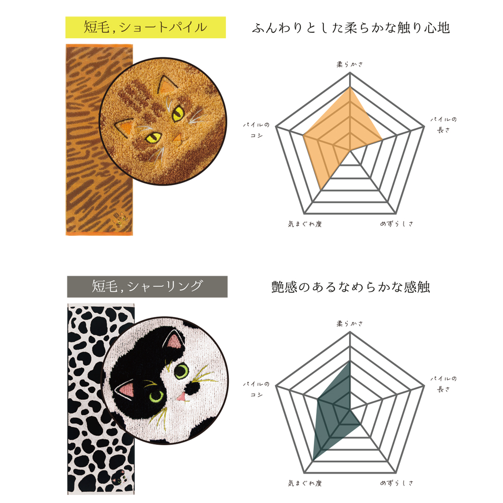 うちの子メイト にゃんこシリーズ今治毛並みフェイスタオル