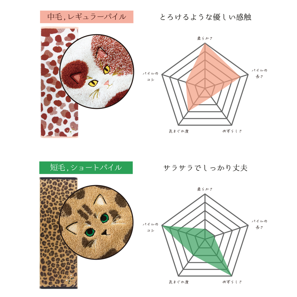 うちの子メイト にゃんこシリーズ今治毛並みフェイスタオル