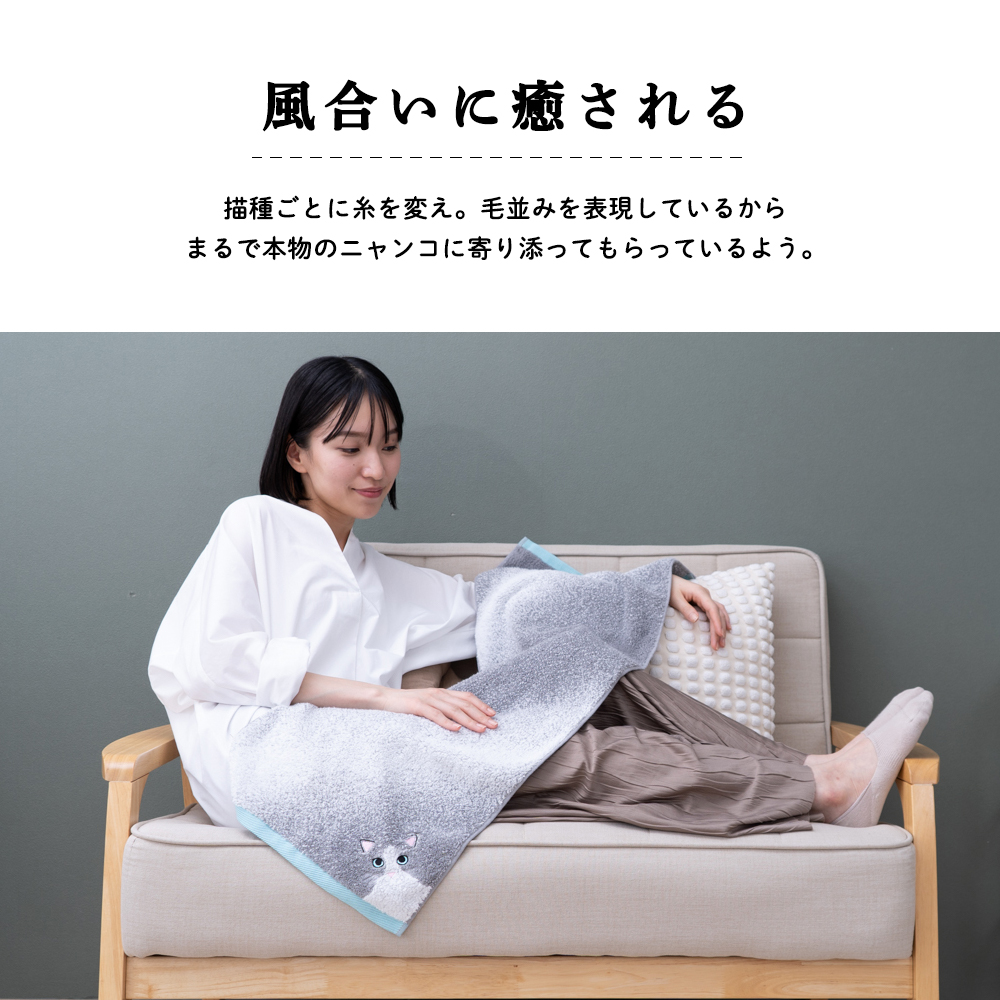 うちの子メイト にゃんこシリーズ今治毛並みフェイスタオル