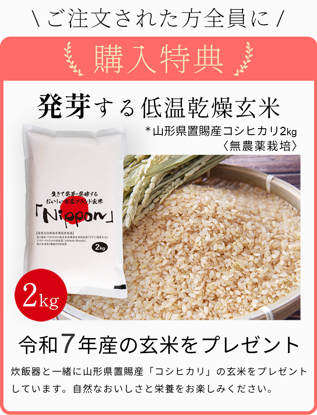 酵素玄米 炊飯器 なでしこ健康生活 NHL-3 発芽玄米 発酵玄米 【3年保証