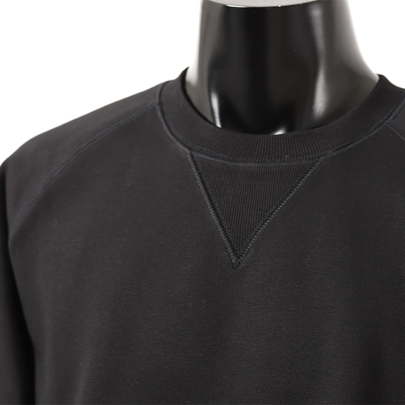 Carhartt 日本未発売 WIP CHASE SWEAT SHIRT BLACK カーハート