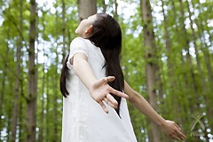 環境浄化装置 e-bless （イーブレス／プロッシュ）の説明 - 通販
