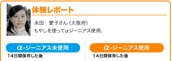 アポロ αジーニアス （アルファ・ジーニアス） 1ヶ口（スイッチ付