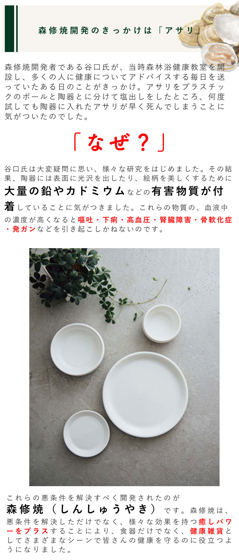 森修焼（しんしゅうやき） おろし三昧 W180×D210×H30mmの説明 - 通販