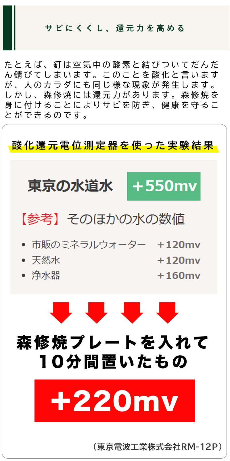 森修焼（しんしゅうやき） クラシカルマグ ホワイト : プレマ